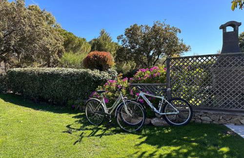 Cute Villa with pool in Palau - Foto 42