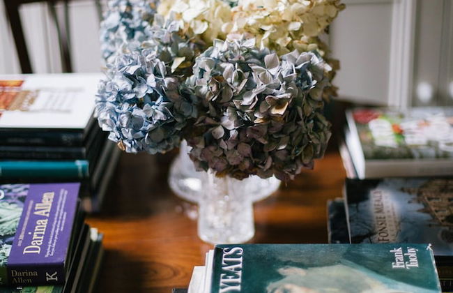 Ballyvolane House - Photo 47