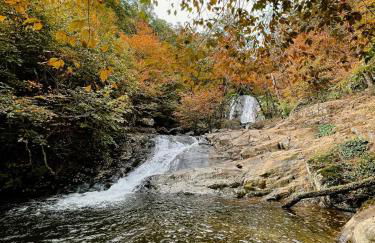 Stay Near Old Rag/White Oak Falls - Cozy Log Cabin - Foto 9