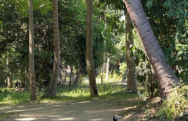 Kunna House - Photo 22