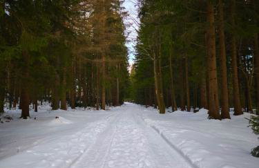 Apartament Górski Widok - Foto 46