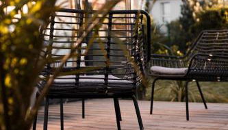 Le coquillage, la clef des paons - Photo 2