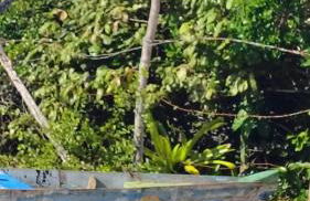 Casa Aratu Guaiú Barra de Mamanguape - Photo 4