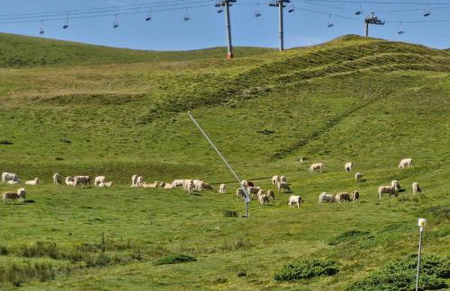 Bel appart T2, 3 étoiles, avec balcon bien exposé - Foto 16