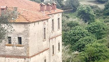 Studio Wilem - Foto 5