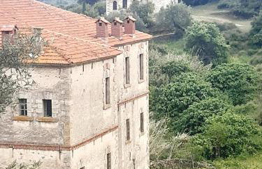 Studio Wilem - Foto 5