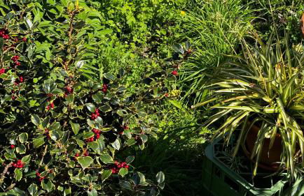 Villa in collina con vista mozzafiato su Noli - Photo 31