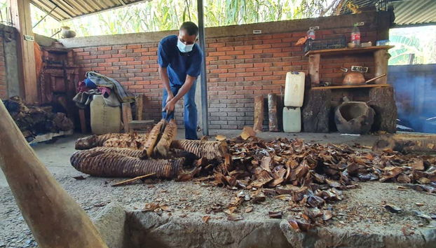 Mezcal Tour of Santa Catarina Minas - Foto 3