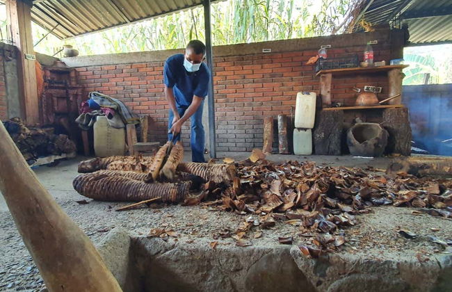Mezcal Tour of Santa Catarina Minas - Foto 3