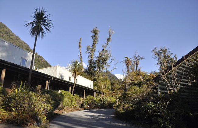 Punga Grove - Foto 58