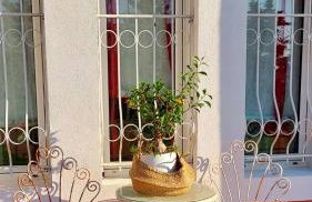 Villa AVRA - Photo 43