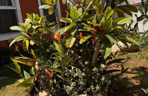 Casa in Baia Formosa-Bùzios - Foto 13