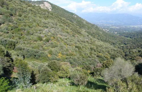 ELI&LOU avec piscine - Foto 9