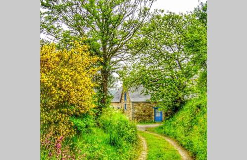 Ti Dour - Gîte de charme à la campagne - côte de granit rose - Foto 13