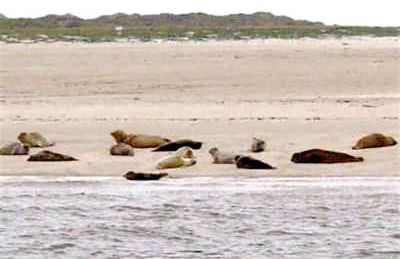 Nordsee Haus An't Oll Deep - Foto 36