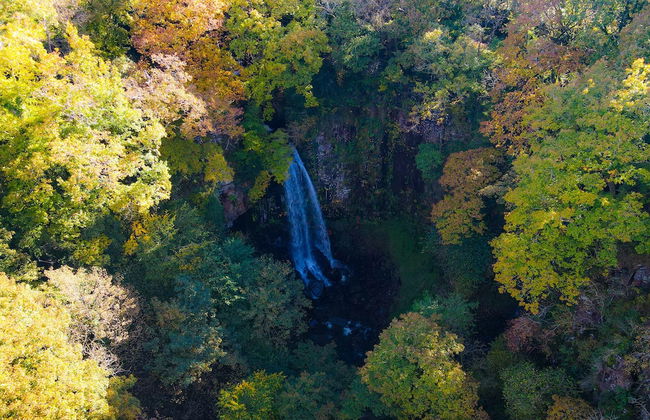 Waterfall Lodge - Foto 24