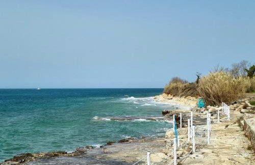 Apartment Bonaca - Photo 8