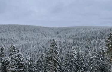 Bergstadthütte Harz - Foto 27