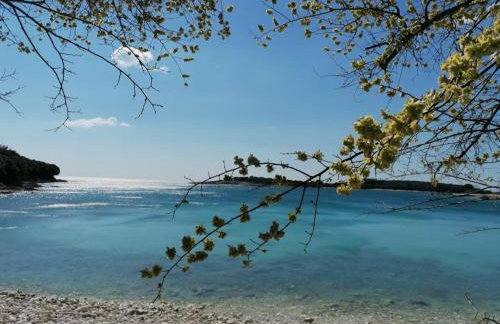 Apartment -by the sea - Foto 20