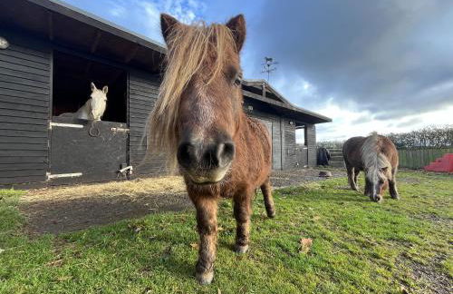 Sunnybank by Wigwam Holidays - Photo 8