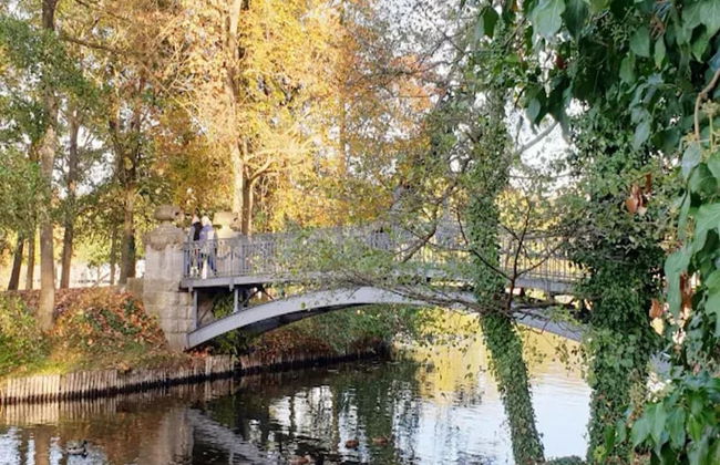 Ferienwohnungen am Mirower See, Mirow - Foto 17