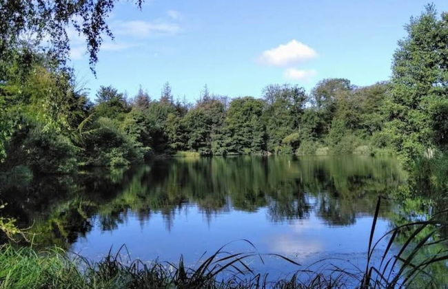 6 Person Holiday Home in Ronde - Foto 10