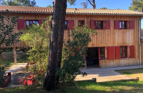 Maison bois 10 pers CapFerret Plage des Américains - Foto 13