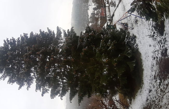 Ferienhaus , Wieda - Foto 47