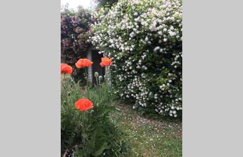 LES TERRASSES (centre de Pierrefonds) - Foto 19