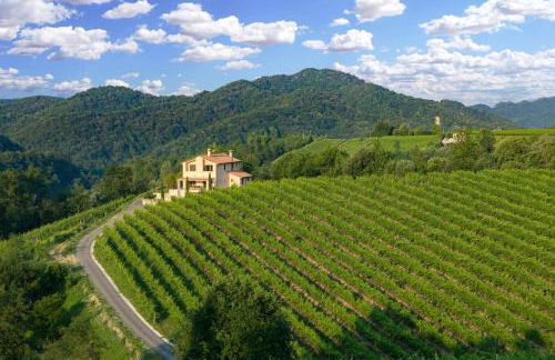 Villa Prosecco - Foto 9