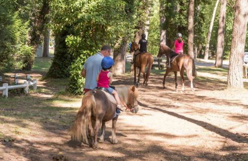À COTÉ DE LA BAIE DE CANCHE-Appt 4pers-Linge compris-Lits faits-1CHB 1 lit double-1CABINE 1 lit superposé-2SDB-piscine-parking-boulodrome-tennis - Foto 17