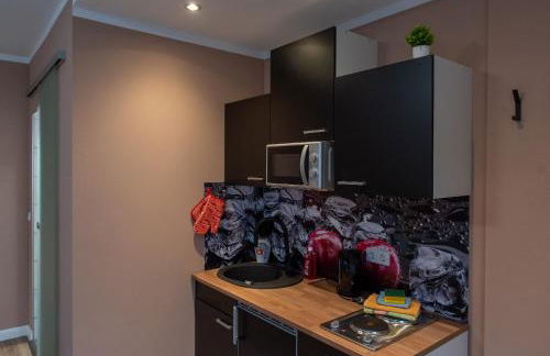 Top-moderne Ferienwohnung und Apartments auf früherem wunderschönen Bauernhof im Elbe-Elster-Kreis in Brandenburg bei Herzberg-Elster, Schönewalde, Holzdorf - Foto 40