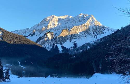 Le Bel appartement de Montagne - Foto 5