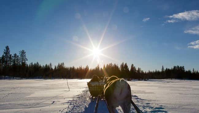 Un giro in slitta trainata da renne a Sirkka