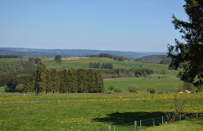 Charming Chalet in Vielsalm - Foto 16