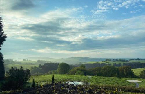 Hellenthal Family Retreat - Photo 74