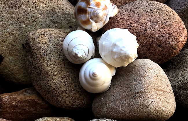 Glen Eden Beach Resort - Foto 52