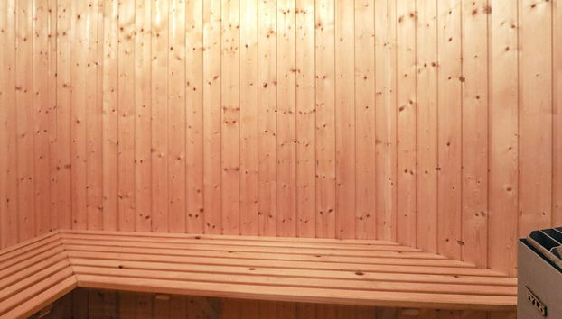 4 Person Holiday Home in Hirtshals - Foto 2, Sauna