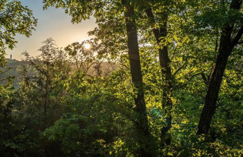 Nature's View Retreat Serenity and Splendor - Foto 16