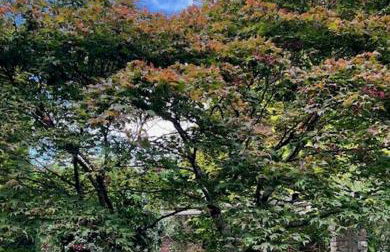 The Cottage, Walworth Demesne - Foto 46