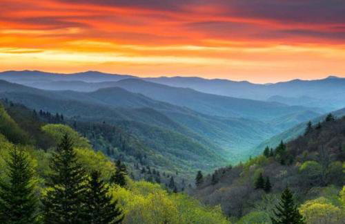 Entire Home in the Heart of Cherokee NC - Foto 1