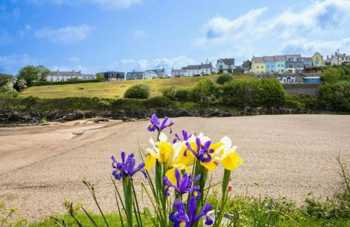 Cuckoo Springs Cottage Aberporth - Foto 17