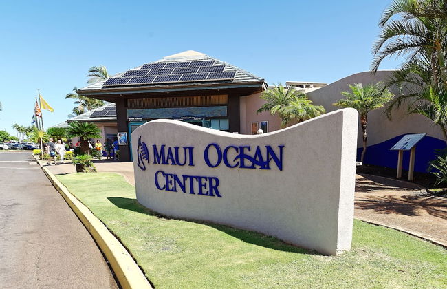 Hono Kai A10 - Foto 19