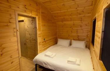 Isabels Cabin - Photo 23