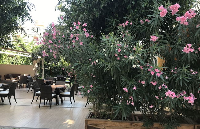 Narcis Apart Hotel - Photo 23