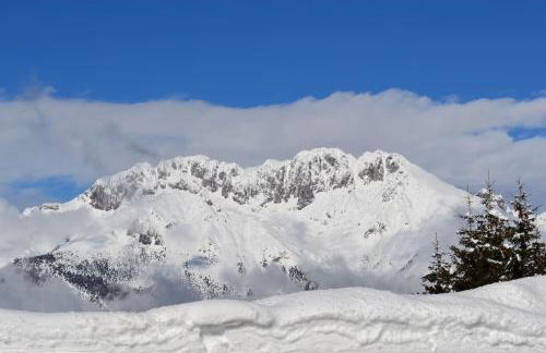 La marmotta gialla - apartment - lakes - mountains - Photo 36