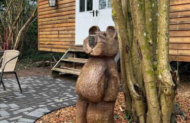 Tranquil Spot Shepherds Hut - Foto 9