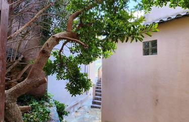 Maison confortable à Rogliano avec terrasse et jardin - Foto 12