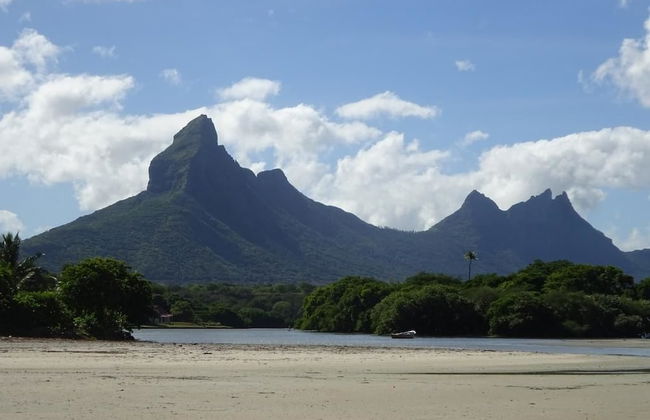 Faisan Dore - Photo 16