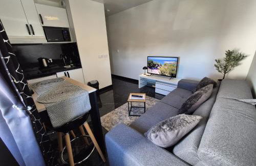 Appartement 2 pièces à Rosny-sous-Bois à quelques pas du Métro - Foto 7